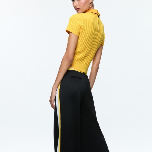 Alice and Olivia Abbott with collar - Picture 3 of 15